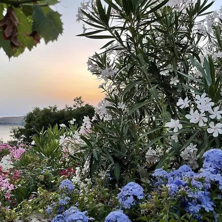 Nyaraló 'paradise' Says Cnn - 2 Bed In Delfini Bay Kíni